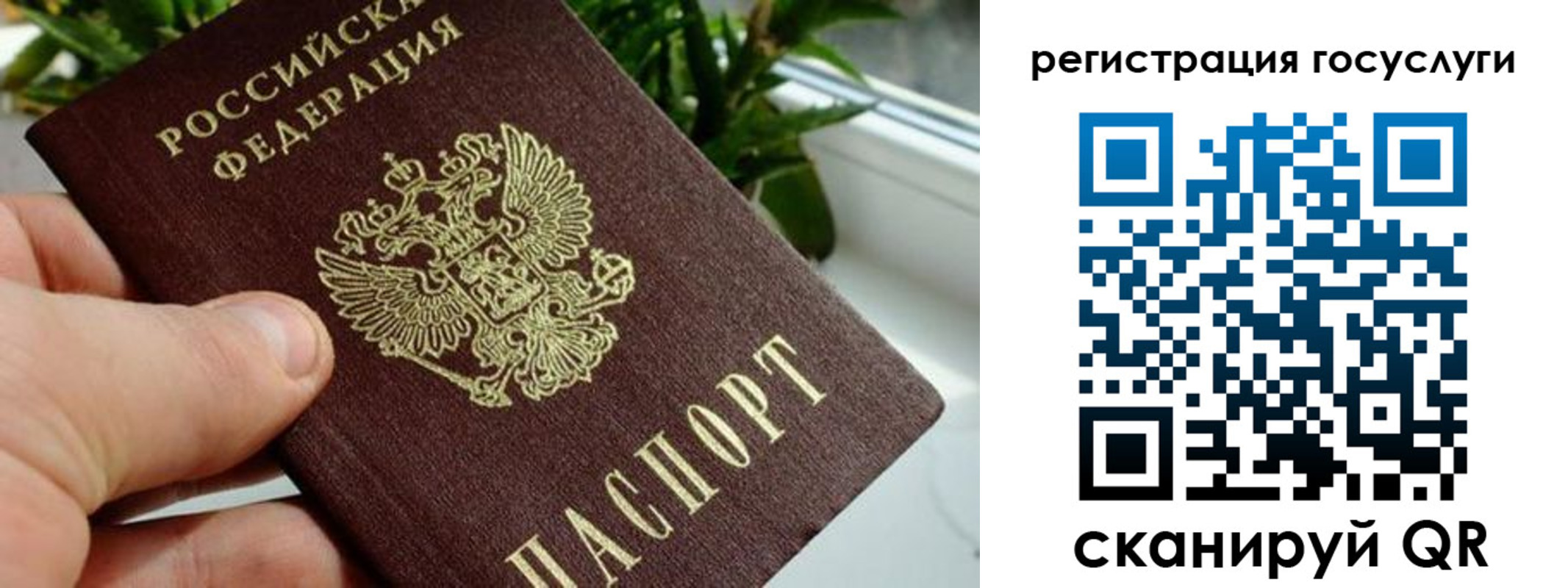 прописка для кредита в Чкаловске