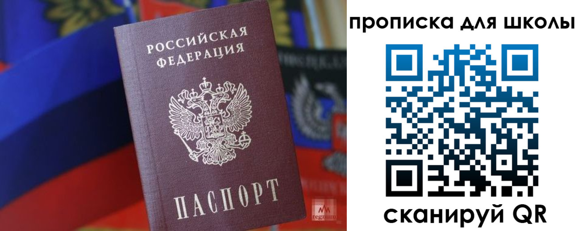 временная регистрация поиск в Чкаловске